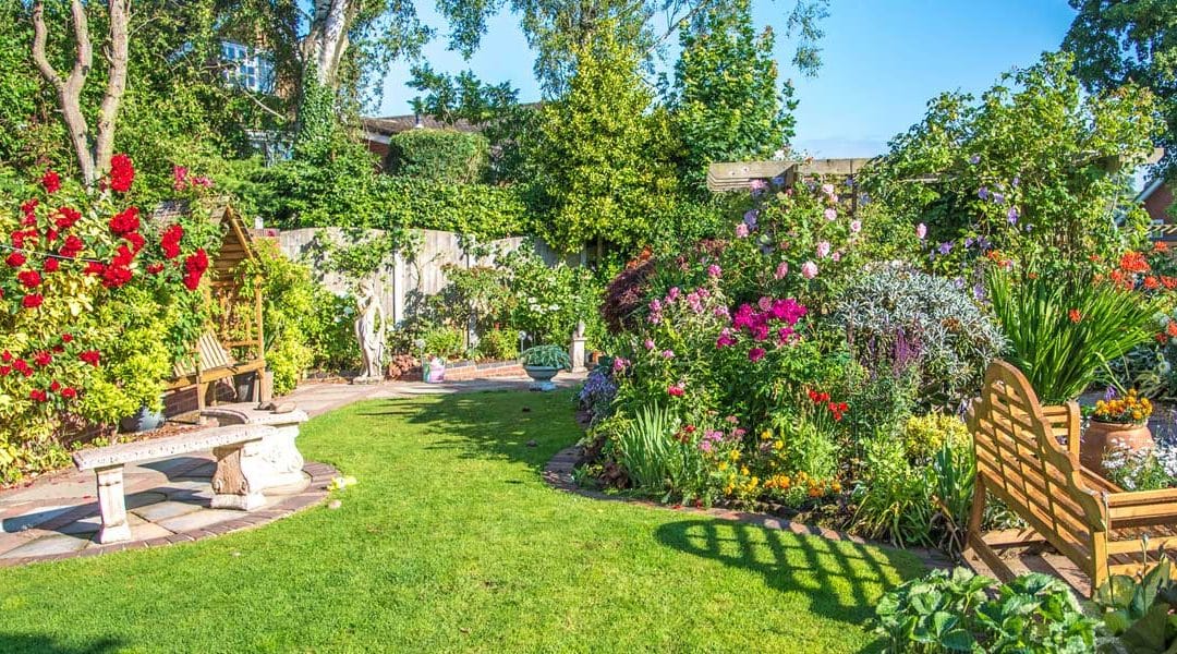 Beautifully landscaped garden with vibrant flowers, neatly trimmed hedges, and lush greenery, designed and maintained by Seaby's Grounds Maintenance in Cambridge.