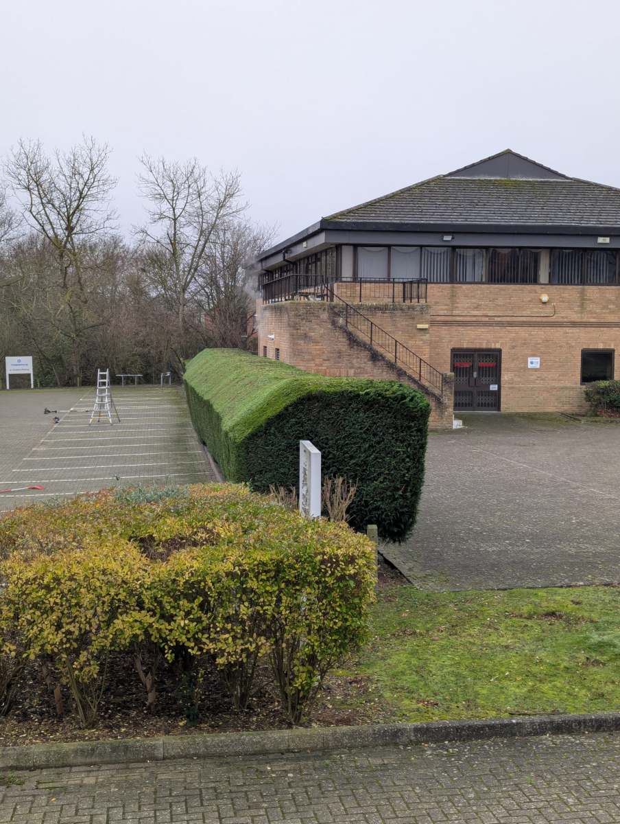 Freshly landscaped garden with a well-maintained lawn, vibrant plants, and neat borders, designed by Seaby's Grounds Maintenance in Cambridge.