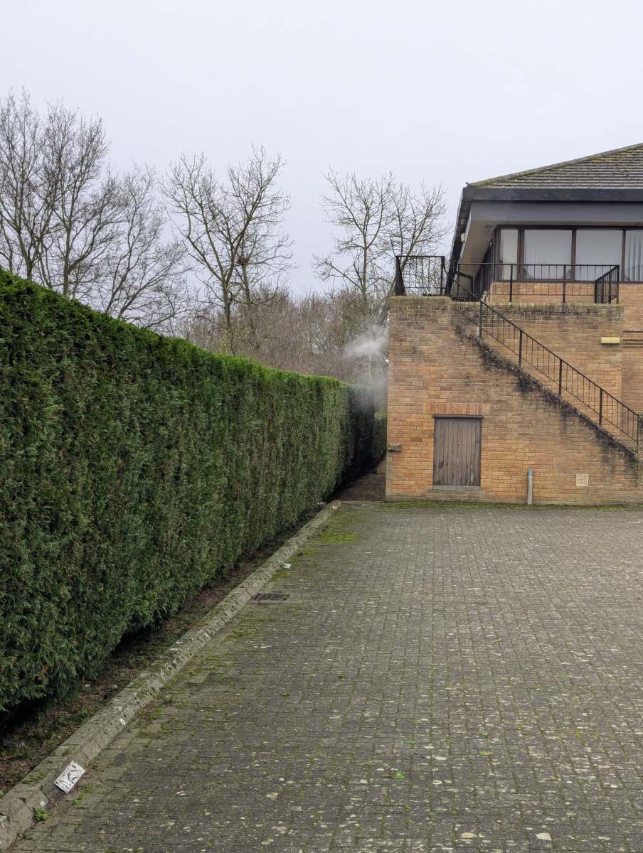 Well-maintained garden featuring neatly trimmed hedges, vibrant flowers, and a pristine lawn by Seaby's Grounds Maintenance in Cambridge.