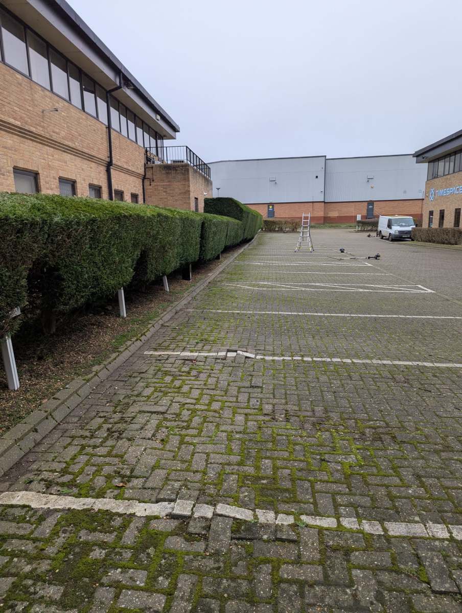 Well-maintained outdoor space with neatly trimmed hedges, vibrant flowers, and a pristine lawn, created by Seaby's Grounds Maintenance in Cambridge.