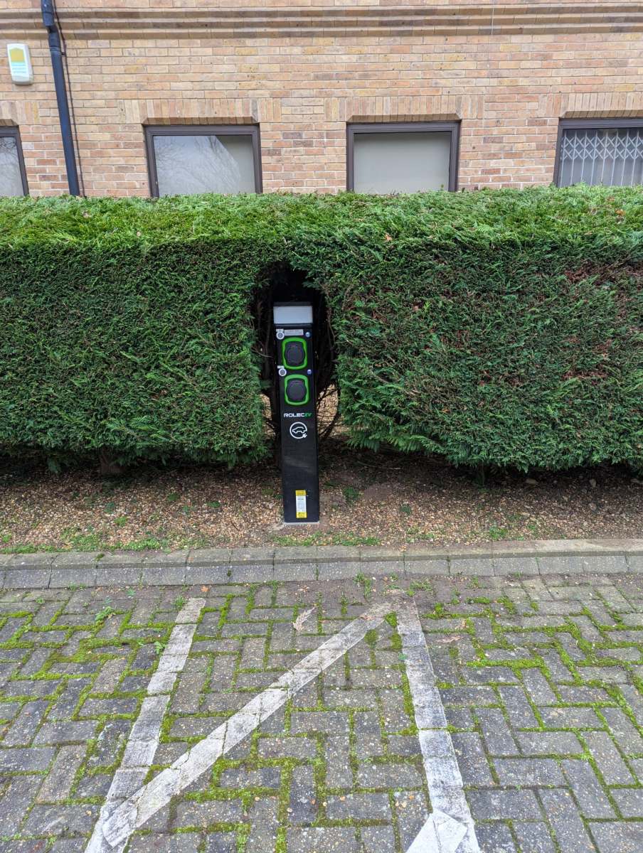 Beautifully landscaped garden with vibrant flowers, neatly trimmed hedges, and a lush lawn by Seaby's Grounds Maintenance in Cambridge.