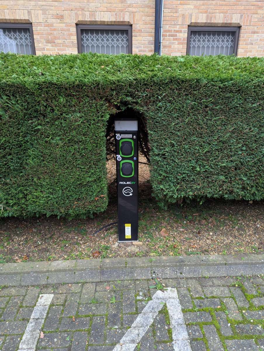 Expertly maintained garden with neatly trimmed hedges, colorful flowers, and a lush green lawn, designed by Seaby's Grounds Maintenance in Cambridge.