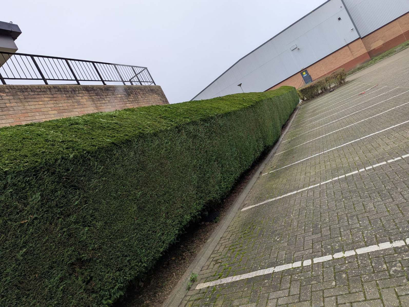 Neatly designed garden with vibrant flowers, neatly trimmed bushes, and well-maintained pathways, created by Seaby's Grounds Maintenance in Cambridge.