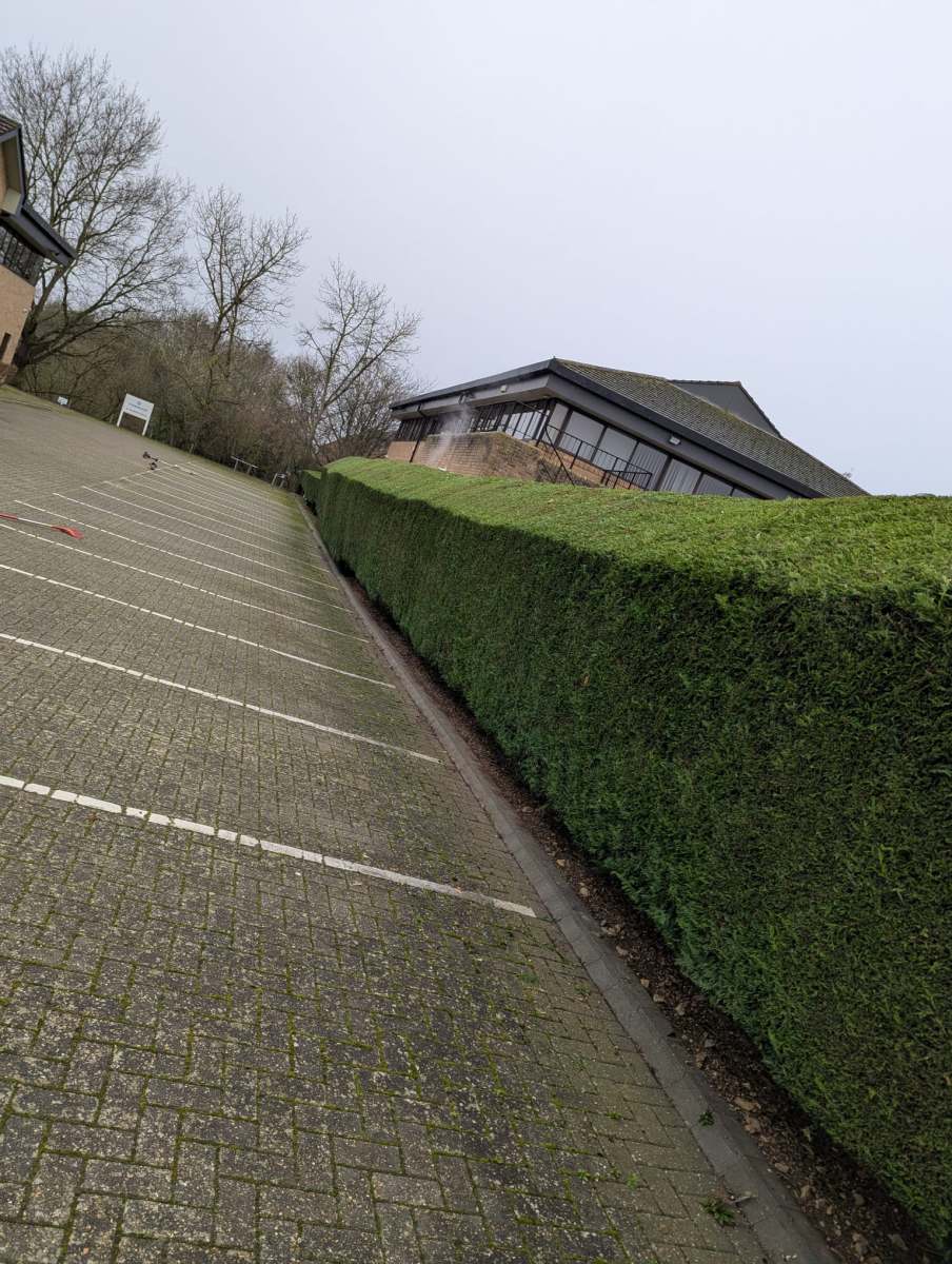 Expertly landscaped garden with vibrant flowers, neatly trimmed hedges, and lush greenery, designed and maintained by Seaby's Grounds Maintenance in Cambridge.