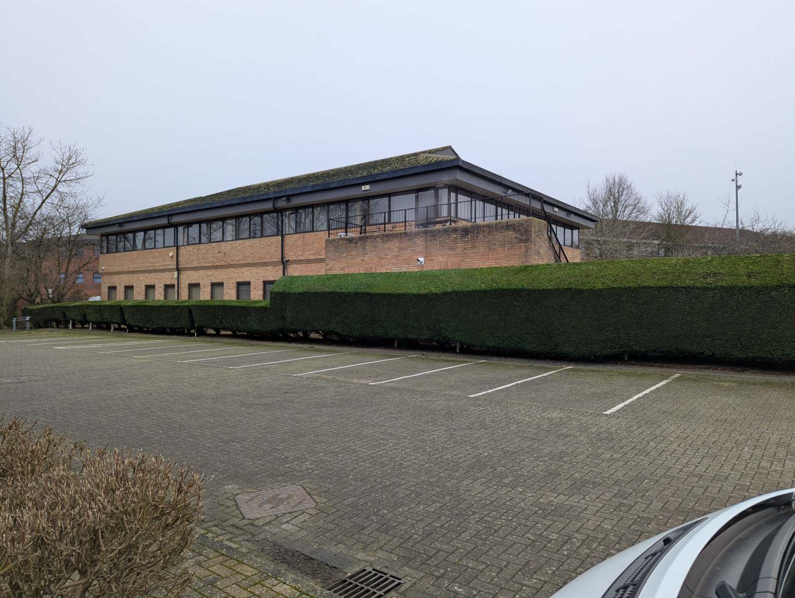 Stunning garden featuring vibrant flowers, neatly trimmed bushes, and a well-maintained lawn, designed and maintained by Seaby's Grounds Maintenance in Cambridge.