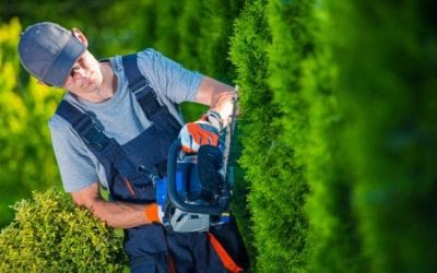 4 Sustainable Landscaping Ideas for an Eco-Friendly Garden