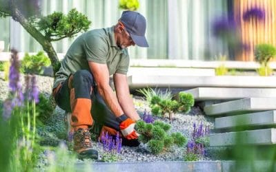 Understanding Commercial Maintenance Cycles for Grounds and Gardens