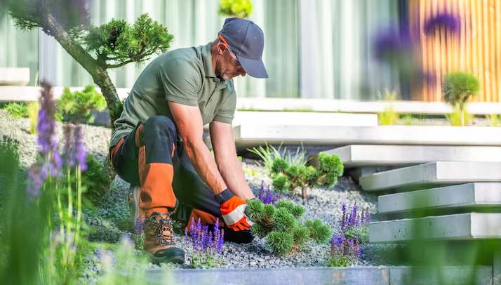 Understanding Commercial Maintenance Cycles for Grounds and Gardens