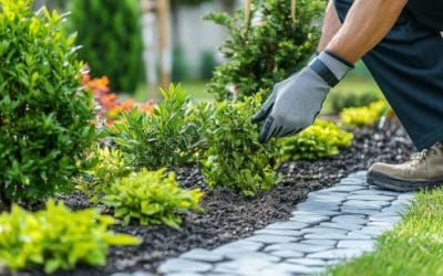 Expert Landscaping and Commercial Maintenance Services in Cambridge and Surrounding Areas